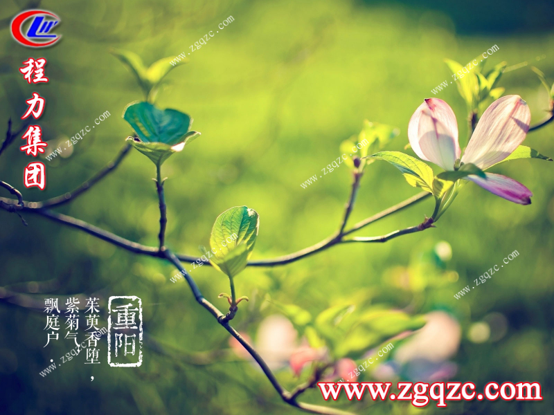 程力集團(tuán) 程力集團(tuán)