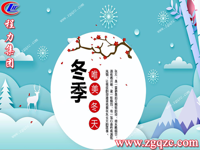 程力集團(tuán) 程力集團(tuán)